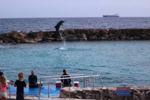 Curacao Dutch Caribbean 2018 IMG_6760