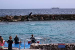 Curacao Dutch Caribbean 2018 IMG_6761