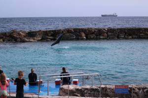 Curacao Dutch Caribbean 2018 IMG_6762