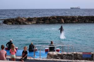 Curacao Dutch Caribbean 2018 IMG_6764