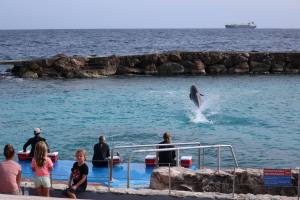 Curacao Dutch Caribbean 2018 IMG_6766