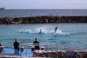 Curacao Dutch Caribbean 2018 IMG_6776