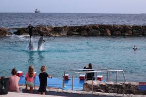 Curacao Dutch Caribbean 2018 IMG_6812