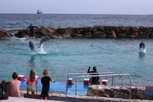 Curacao Dutch Caribbean 2018 IMG_6813