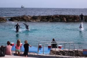 Curacao Dutch Caribbean 2018 IMG_6815