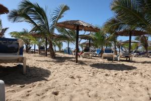 Sal - Cabo Verde - Africa - 2019 IMG_8373