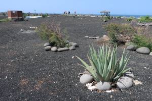 Sal - Cabo Verde - Africa - 2019 IMG_8446