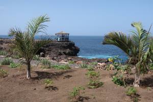 Sal - Cabo Verde - Africa - 2019 IMG_8453