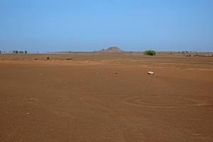 Sal - Cabo Verde - Africa - 2019 IMG_8458
