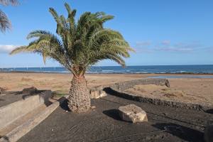 Lanzarote, Canary Islands, Spain 2022 IMG_2680