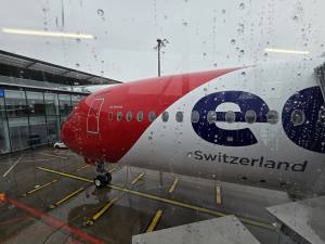 Punta Cana - Dominican Republic - 2025 20251025_135303