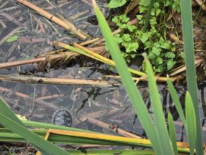 Punta Cana - Dominican Republic - 2025 20251027_105907