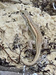 Punta Cana - Dominican Republic - 2025 20251028_111546