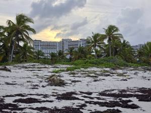 Punta Cana - Dominican Republic - 2025 20251028_173936