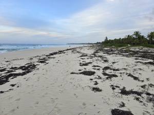 Punta Cana - Dominican Republic - 2025 20251028_174328