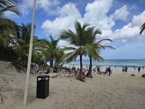 Punta Cana - Dominican Republic - 2025 20251029_104626