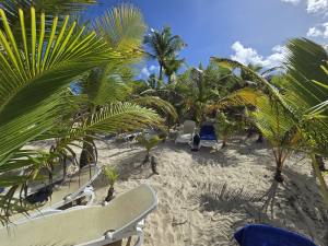 Punta Cana - Dominican Republic - 2025 20251030_140846