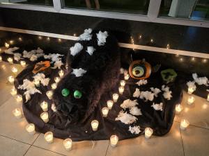 Punta Cana - Dominican Republic - 2025 20251031_185856