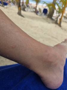 Punta Cana - Dominican Republic - 2025 20251101_121920