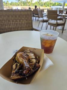 Punta Cana - Dominican Republic - 2025 20251102_154527