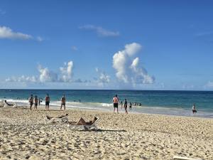 Punta Cana - Dominican Republic - 2025 20251105_160407