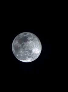 Punta Cana - Dominican Republic - 2025 20251105_230525