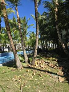 Punta Cana - Dominican Republic - 2025 20251106_105205