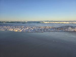 Punta Cana - Dominican Republic - 2025 20251106_173207