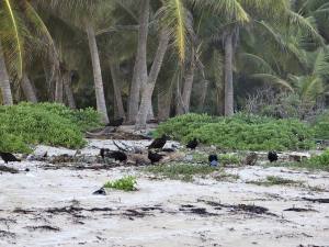 Punta Cana - Dominican Republic - 2025 20251106_174951