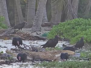 Punta Cana - Dominican Republic - 2025 20251106_175013