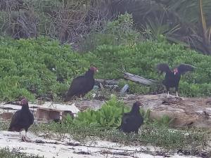 Punta Cana - Dominican Republic - 2025 20251106_175058