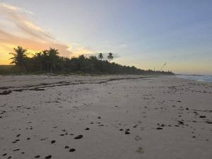 Punta Cana - Dominican Republic - 2025 20251106_175121