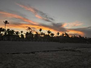 Punta Cana - Dominican Republic - 2025 20251106_180703