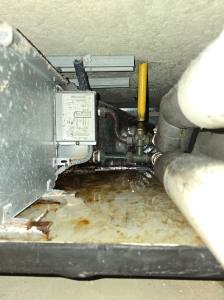 Punta Cana - Dominican Republic - 2025 20251106_193651