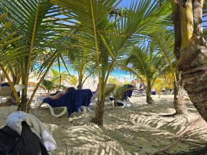 Punta Cana - Dominican Republic - 2025 20251108_125429
