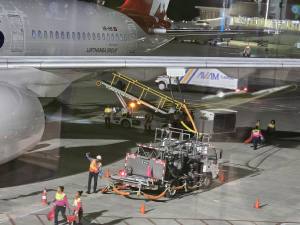 Punta Cana - Dominican Republic - 2025 20251108_183043