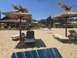 Golden Sands Bulgaria 2025 20250714_142622