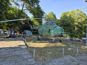 Golden Sands Bulgaria 2025 20250718_173908