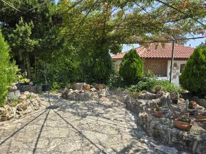 Golden Sands Bulgaria 2025 20250722_121522