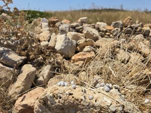 Golden Sands Bulgaria 2025 20250722_131824